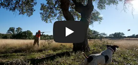 Joshua Creek Ranch - Boerne, Texas